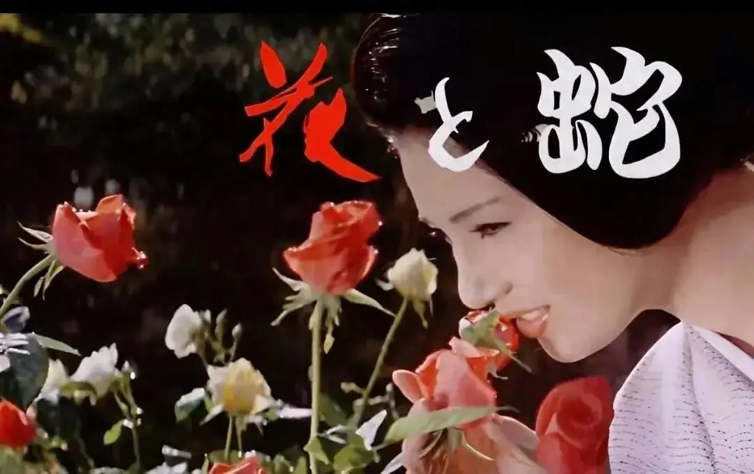 《花与蛇3：白衣绳奴》2025剧情片1080P蓝光画质 - 日本电影未删减国语版 - 高清在线观看无广告