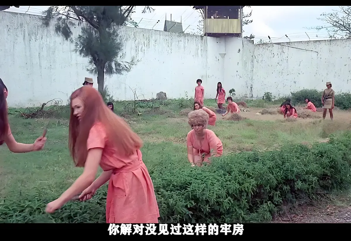 《玩偶屋》美国经典电影1080P HD - 高清修复版免费在线观看 - 无广告流畅播放