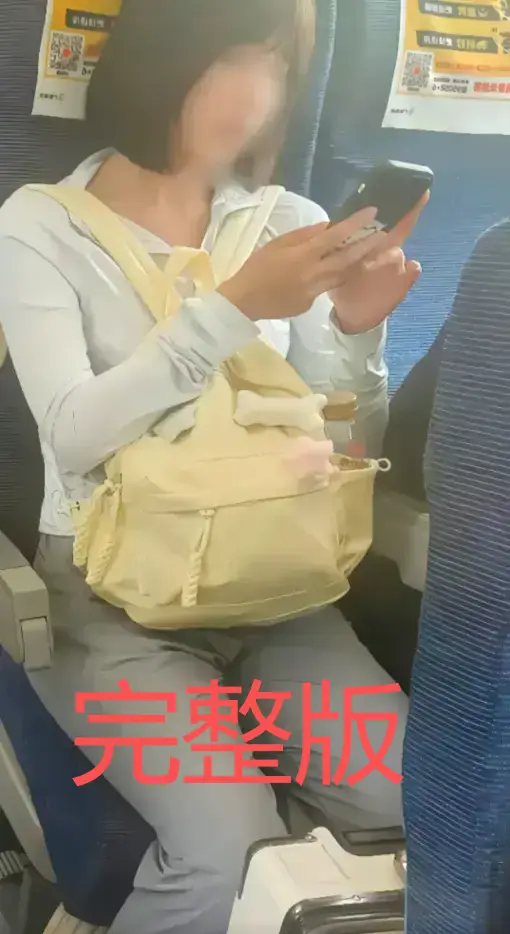 高铁短发女孩原视频完整版在线观看-高铁妹子梗爆火原因解析-54秒视频资源附带夸克/百度云-60秒后续更新迅雷下载