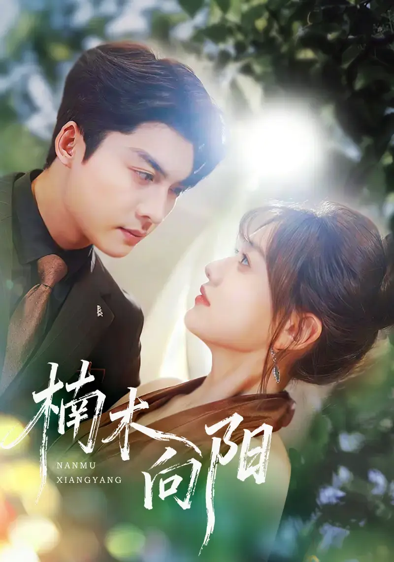 《楠木向阳》全70集完整版 - 1080P HD高清在线观看 - 夸克网盘百度网盘免费下载