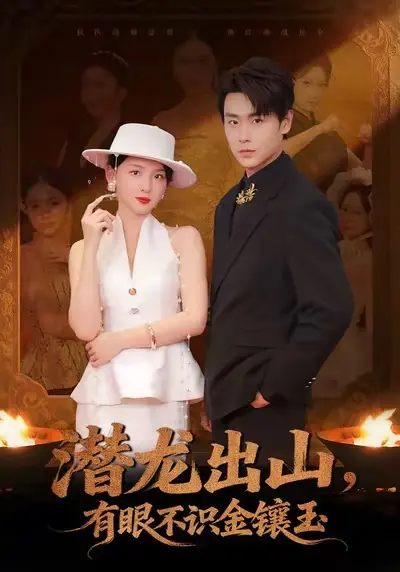 《潜龙出山有眼不识金镶玉》78集全高清完整版-免费在线观看未删减全集-潜龙出山有眼不识金镶玉1080P网盘资源下载无广告