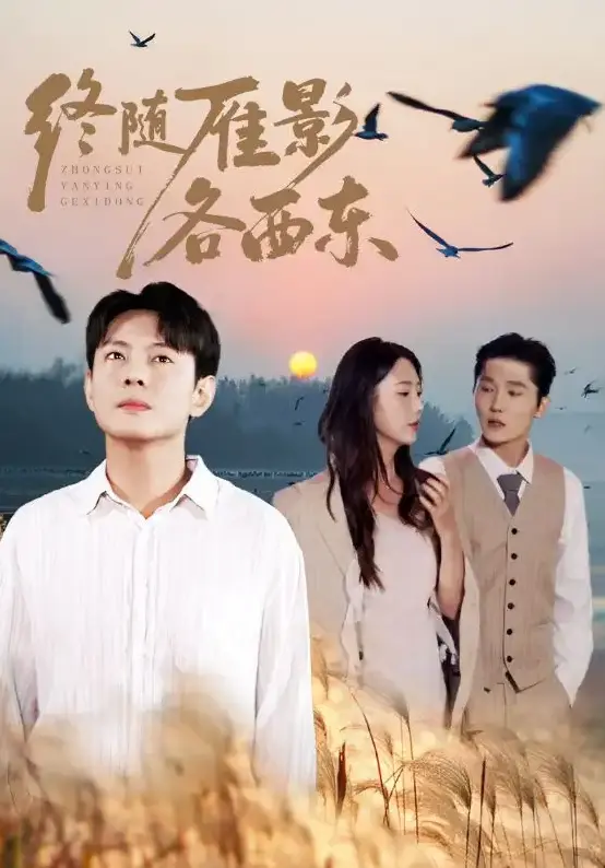 《终随雁影各西东》全86集 - 无删减版高清流畅播放 - 免费观看及网盘下载资源