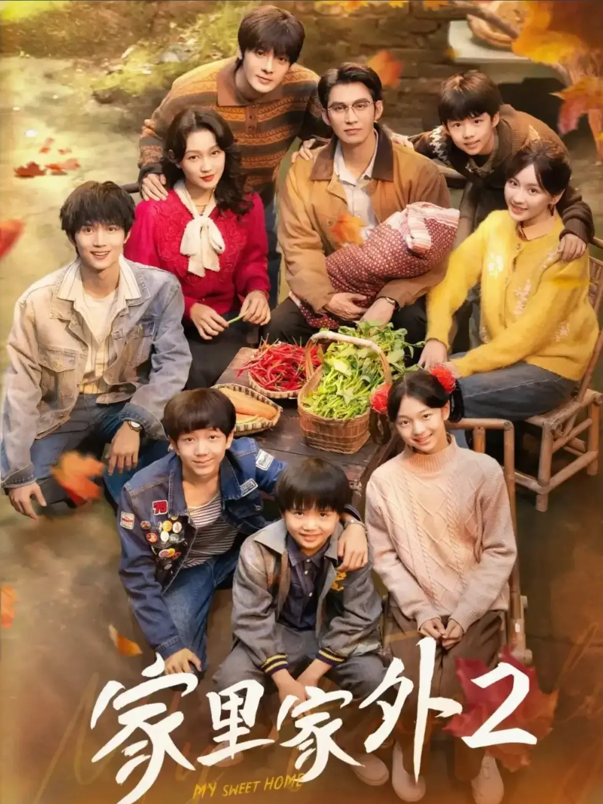 《家里家外2》国产短剧免费看 - 完整版资源在线播放 - 高清画质无删减