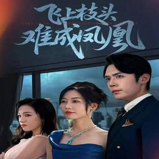 《飞上枝头难成凤凰》1-63集短剧免费观看-高清完整版百度网盘夸克网盘资源-无广告在线播放下载