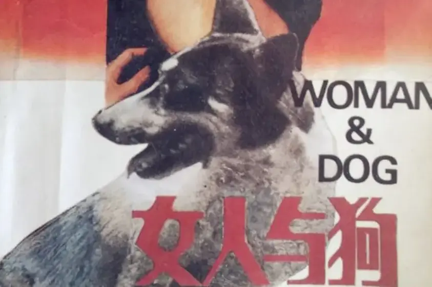 《女人与狗》完整版在线观看-欧美电影《女人与狗》HD蓝光资源免费播放-高清无删减无缓冲观影