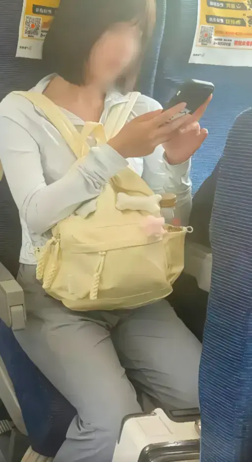 高铁短发女孩原视频54秒完整版-高铁上的妹子梗由来解析-高清网盘视频资源下载-百度云/夸克迅雷UC阿里云资源