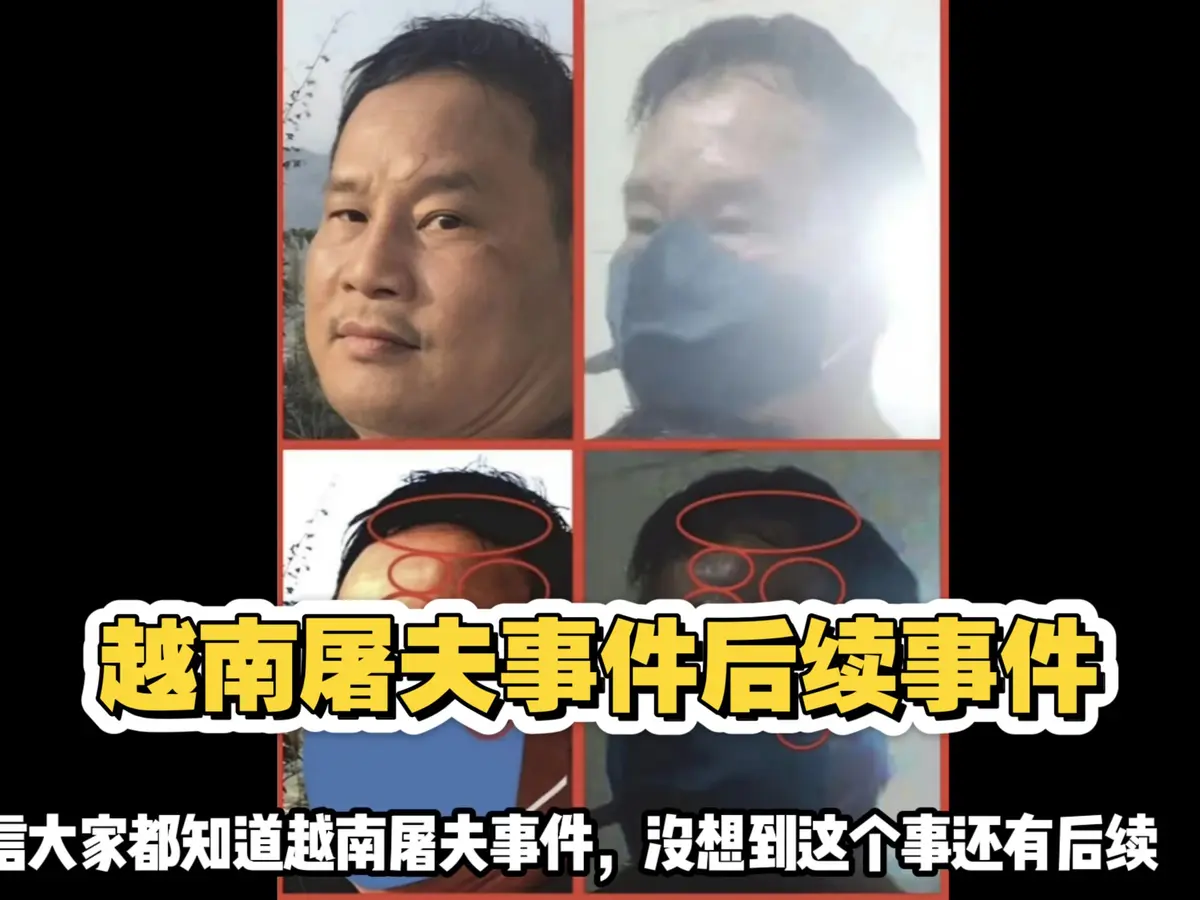 越南屠夫阮春达案原视频无删减版-作案全过程高清还原-真实案件记录视频-引发网友热议