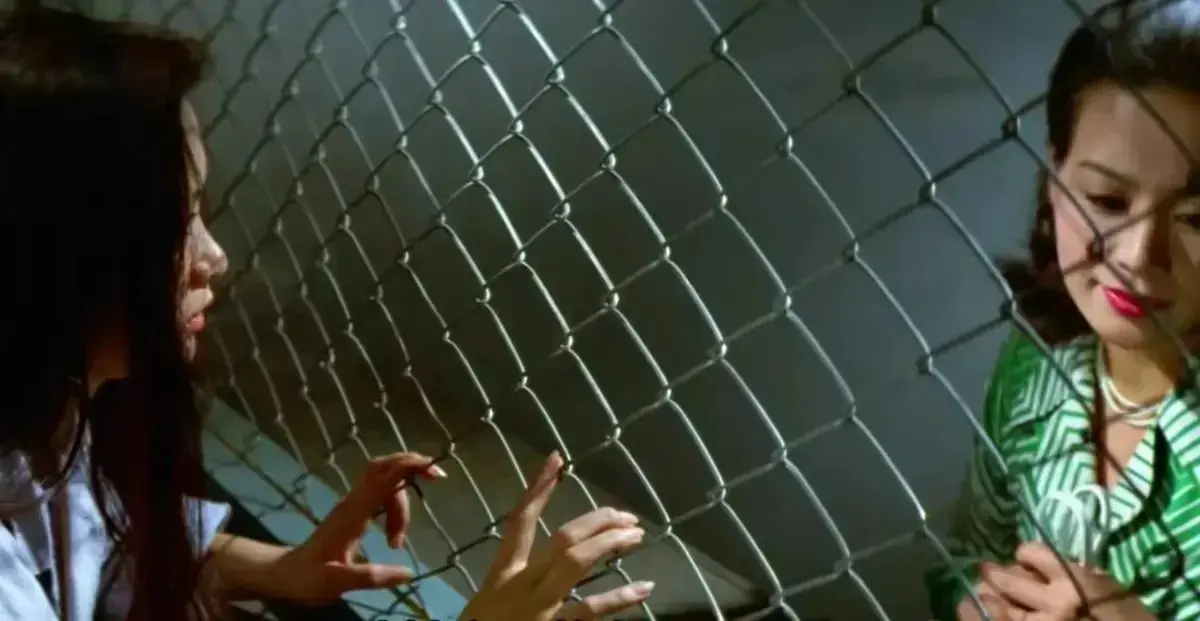 《芦苇地狱》日本女子监狱电影高清完整版在线观看-经典禁映《芦苇地狱》孤岛黑暗监狱残酷实录-1080P无删减版免费播放