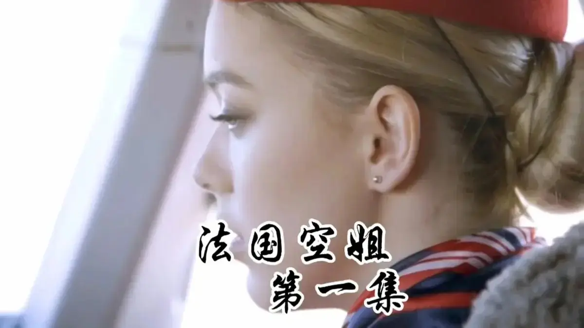 法国空姐/不雅空乘1~3啄木鸟系列-高清完整版在线观看-1080P画质流畅播放