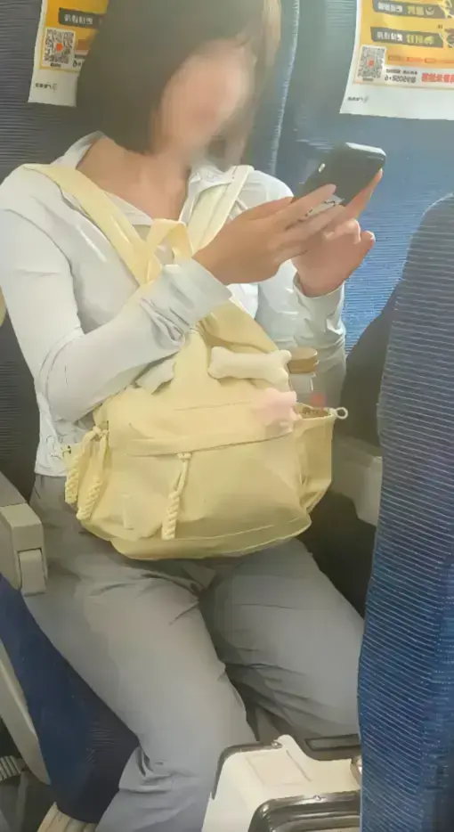 【完整版】《高铁短发女孩54秒原视频》1080P高清-高铁上的妹子梗事件全记录-网盘资源免费下载