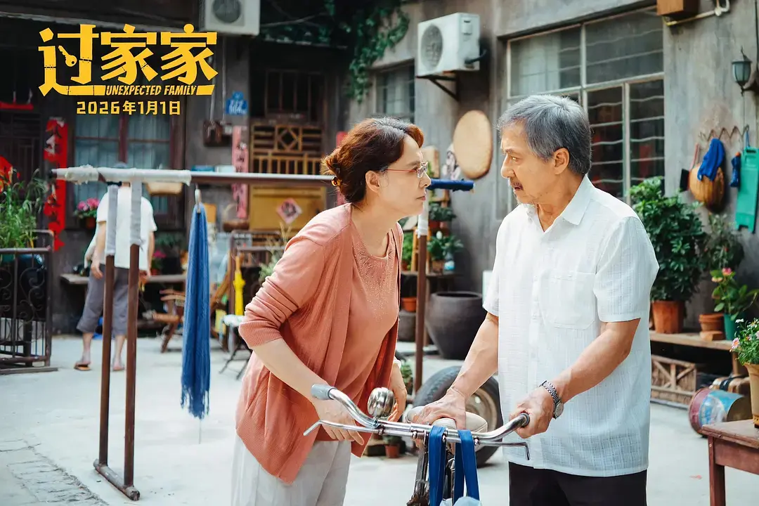 《过家家》全集完整版资源免费看-2026热播国产电影无广告在线观看-高清画质抢先版