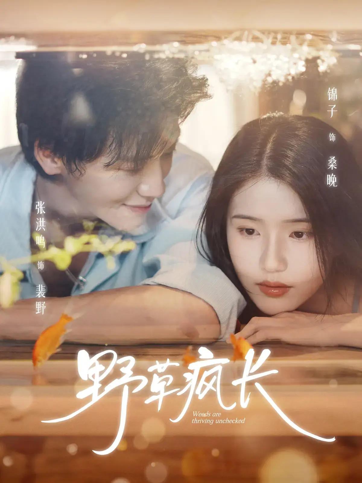 《野草疯长》全集高清播放 - 新番短剧免费观看 - 无广告完整版资源 - 支持网盘下载