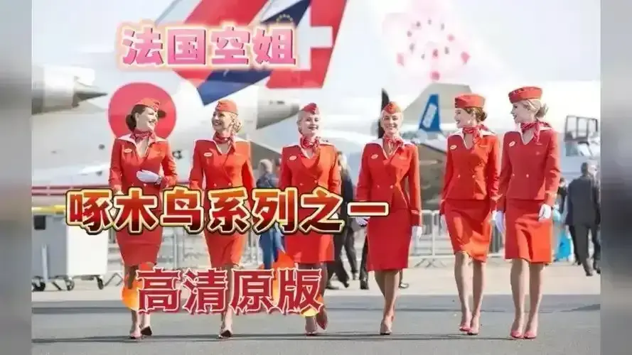 《法国空姐2019/不雅空乘》1080P高清国语中字免费观看-《法国空姐》未删减完整版在线播放-职场情感争议电影