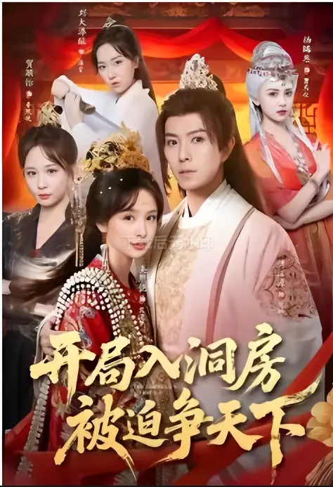 《开局入洞房，被迫争天下》短剧全集 - 1080P高清未删减版 - 免费在线观看无广告