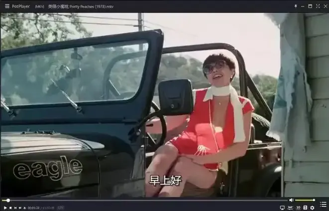 《美丽小蜜桃》未删减版高清中字-1978年美国喜剧电影完整版在线观看-《美丽小蜜桃》1080P免费播放