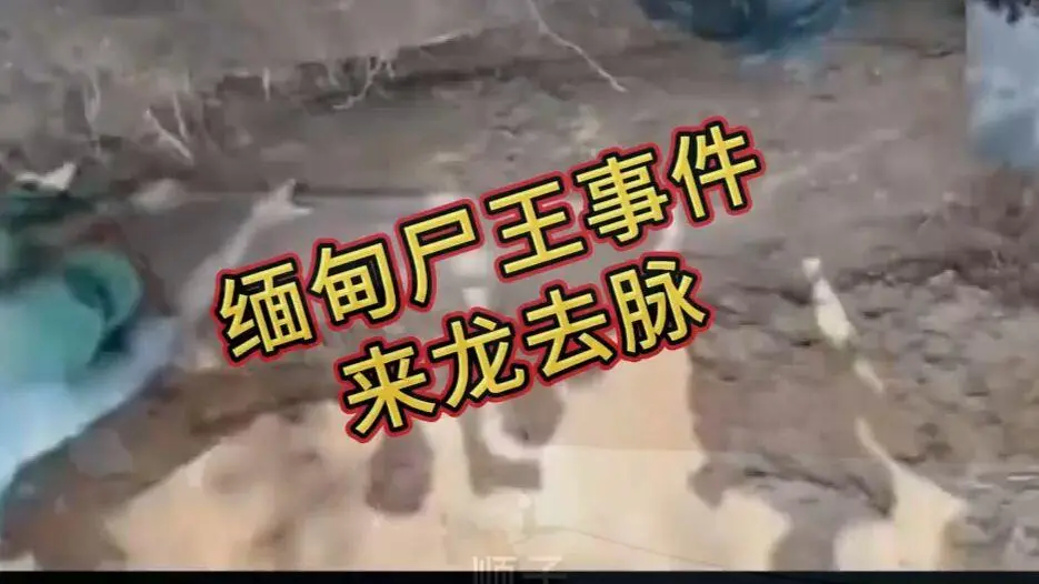 《缅甸僵尸出土事件视频》完整版资源下载 - 缅北僵尸出土事件始末原视频高清无删减在线观看