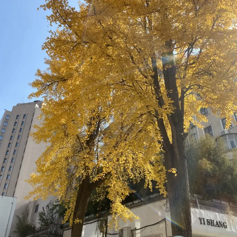 《女人与狗》1080P高清在线观看-俄罗斯剧情片《女人与狗》完整版免费播放-无删减无广告流畅观看女人与狗-高清资源网盘下载分享